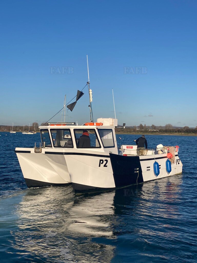 Phantom Marine Catamaran pmc9