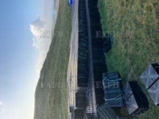 Large picture for advert 105020
