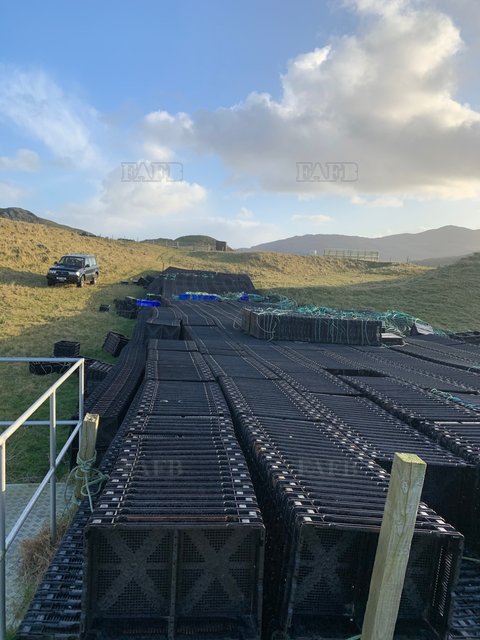 Large picture for advert 105020