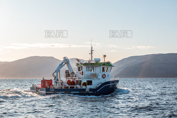 Main picture for advert 124220
