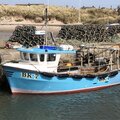 Extra picture for advert 126420